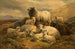 Schafe in den schottischen Highlands - William Watson — Ansicht des Kunstwerks