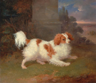 Ein Blenheim-Spaniel - William Webb — Ansicht des Kunstwerks