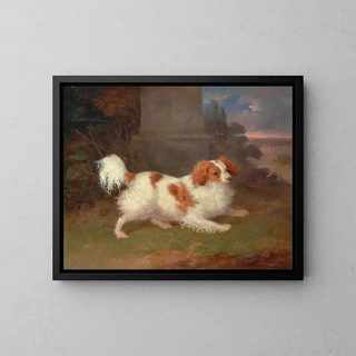 Ein Blenheim-Spaniel - William Webb — gerahmtes Bild an der Wand