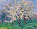 Pommier en fleurs - Willy Schlobach — Ansicht des Kunstwerks