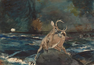 Winslow Homer - A Good Shot Adirondacks.webp