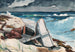 Nach dem Hurrikan Bahamas - Winslow Homer — Ansicht des Kunstwerks