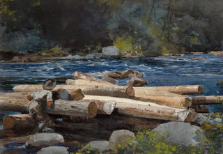 Winslow Homer - Hudson River.webp