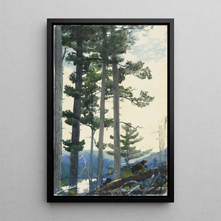 Winslow Homer - Old Settlers.webp