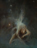 Sternschnuppe - Witold Pruszkowski — Ansicht des Kunstwerks