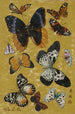 Schmetterlinge - Wu Shujun — Ansicht des Kunstwerks