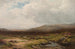 Eine Heidelandschaft in Dorset - Wycliffe Egginton — Ansicht des Kunstwerks