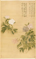 Pfingstrosen - Yun Shouping — gerahmtes Bild an der Wand