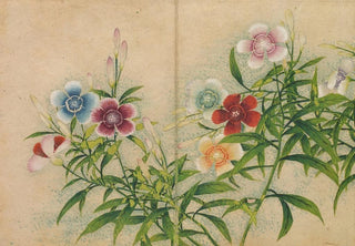 Zhang Ruoai - Pinks.webp