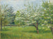 Bäume in Blüte - Zora von Preradovic — Ansicht des Kunstwerks