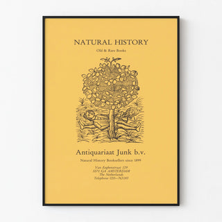 affiche-van-antiquariaat-junk-te-amsterdam