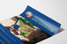 Präsentationsposter für Apps Showcase Peace Corps