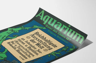 aquarium-unter-den-linden-ausstellung-an-lebenden-seetieren-und-reptilien