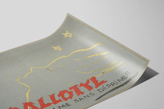 ballotyl