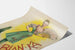 Vintage-Poster BIAN-KA Frau mit Fächer für Wanddekoration