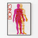 Dekoratives Poster Bionics Silhouette Mann in leuchtenden Farben
