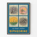 Vintage-Poster BIPHEDRINE saisonaler Kalender