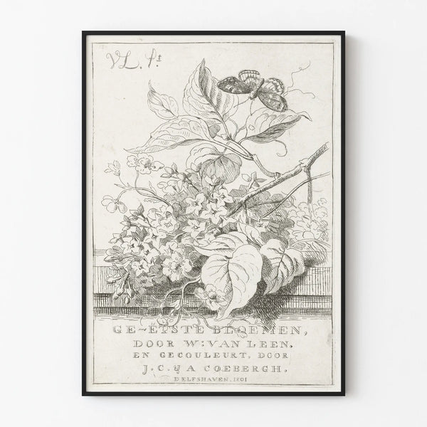 bloemenstudie-met-vlinder