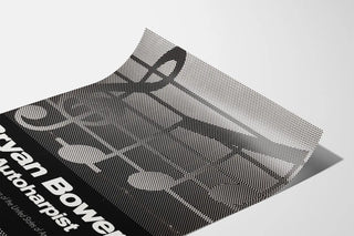 bryan-bowers-autoharpist