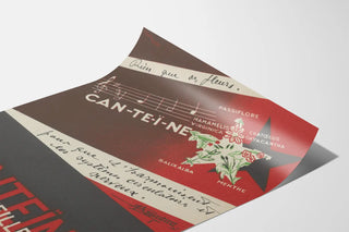 canteine-4
