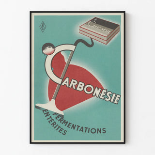 carbonesie-8