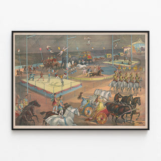 circus-show