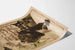 Vintage-Poster in der Bretagne - Dekorative Meeres-Lithographie