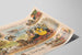 Vintage-Poster D. Rosenberg & Sons Standard Carriage Varnishes New York — Ansicht des Kunstwerks