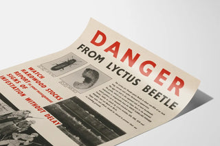 danger-from-lyctus-beetle