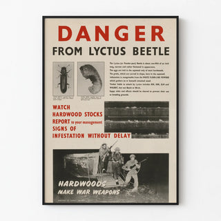 danger-from-lyctus-beetle