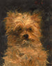 Kopf des Hundes Bob - Édouard Manet — Ansicht des Kunstwerks