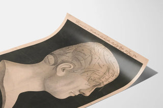 dr-spurzheim-divisions-of-the-organs-of-phrenology-marked-externally