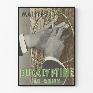 eucalyptine-le-brun-11