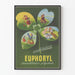 Vintage-Poster Euphoryl Desensibilisierung Vielseitig
