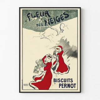 fleur-des-nieges