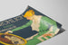 Vintage-Poster Gebr. Rohlich Rahmen und Bilder — Ansicht des Kunstwerks