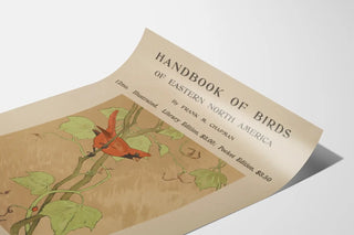 handbook-of-birds-of-eastern-north-america-2