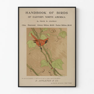 handbook-of-birds-of-eastern-north-america-2