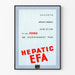 Vintage-Poster Hepatic EFA Wanddekoration Retro