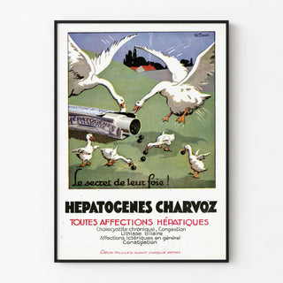 hepatogenes-charvoz-2