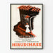 Vintage-Poster Hirudinase – Retro-Medizinische Wanddekoration