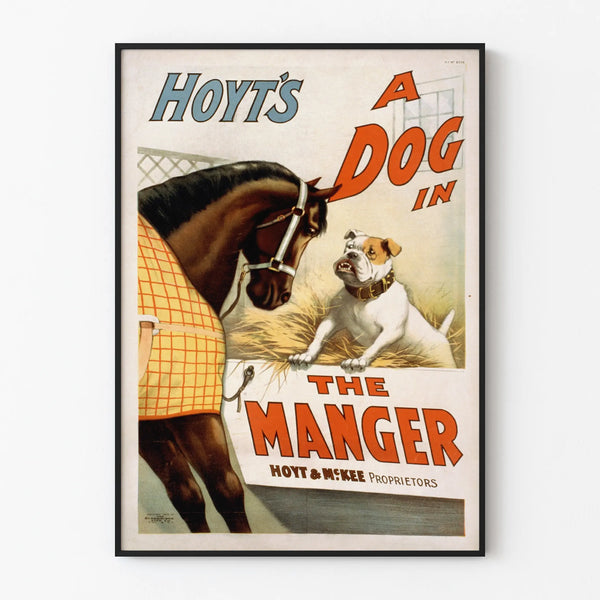 hoyts-a-dog-in-the-manger