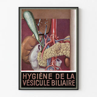 hygiene-de-la-vesicule-biliaire
