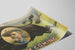 Vintage-Poster Ich komme, Colonel W.F. Cody — Ansicht des Kunstwerks