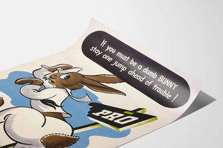 if-you-must-be-a-dumb-bunny-stay-one-jump-ahead-of-trouble