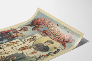 irma-roccas-excentrique-cosmopolite-a-costumes-riches