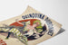 Vintage-Poster Quinquina Dubonnet Aperitif Wanddekoration
