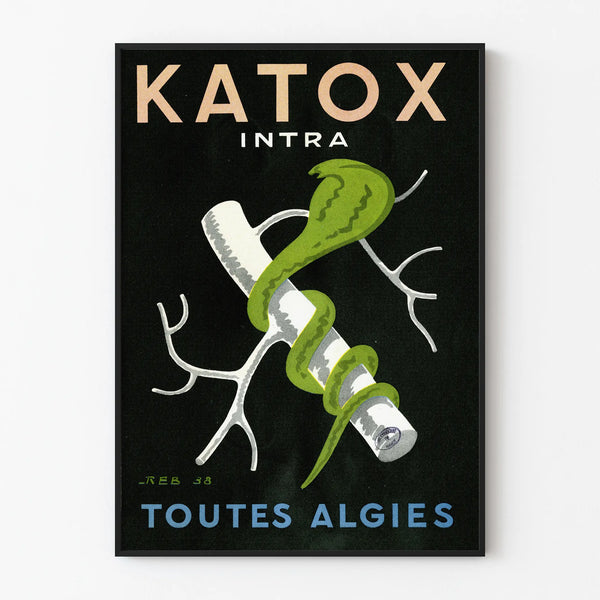 Vintage-Werbeplakat Katox Algen Intra
