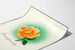 Dekoratives Poster Lebensfreude mit orange-roter Rose und grünem Halo Artem Legrand