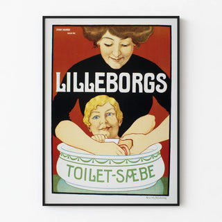 lilleborgs-toilet-saebe